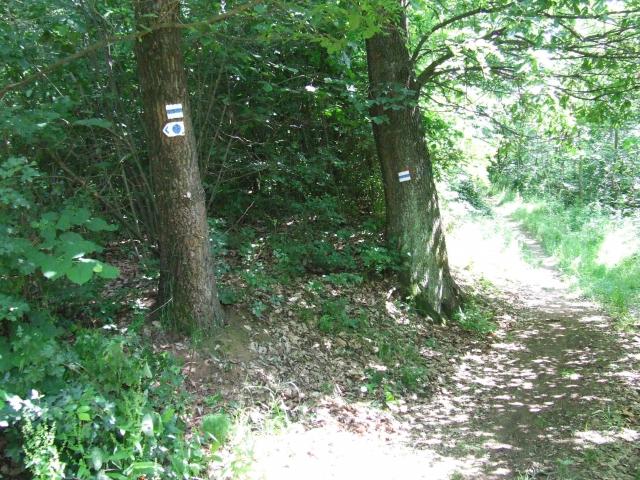 DSCF8887.jpg