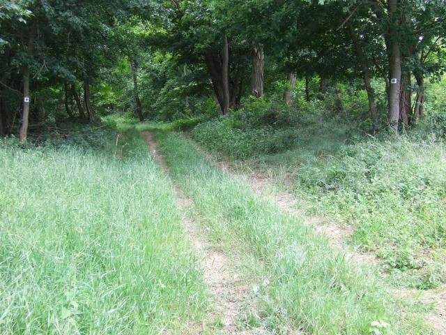 DSCF8893.jpg