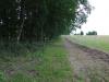 DSCF8896.jpg