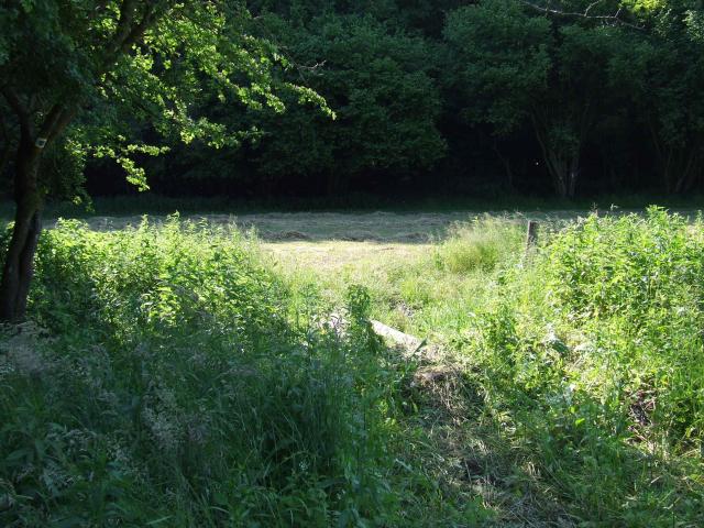 DSCF8902.jpg