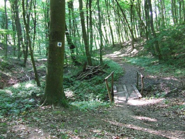DSCF8905.jpg
